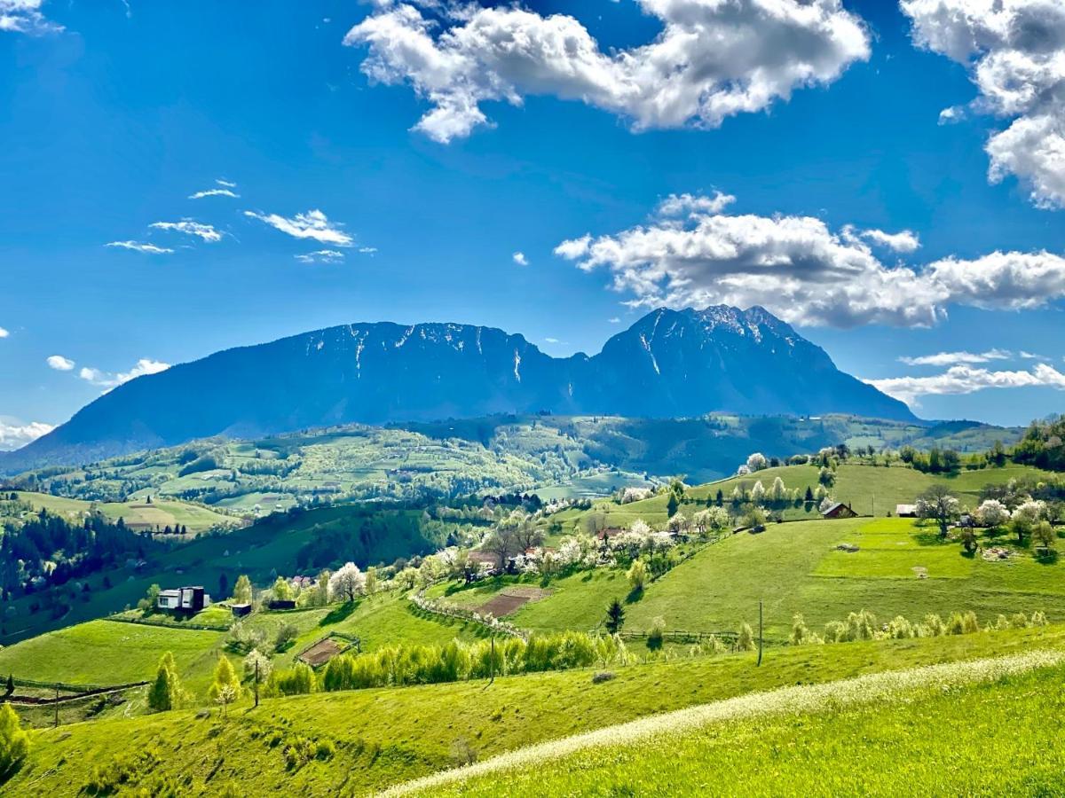 Hill Panoramic בית נופש Poiana Mărului