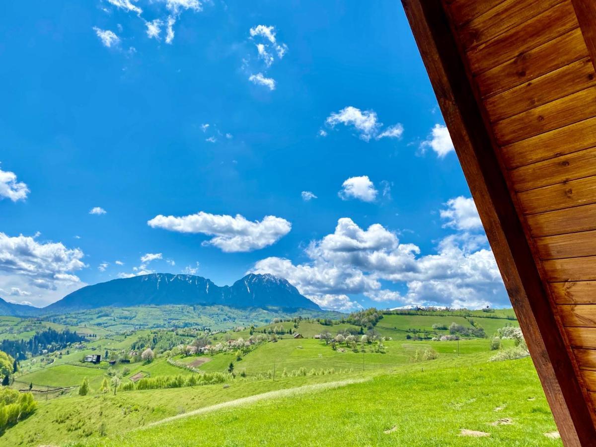 Hill Panoramic Poiana Mărului