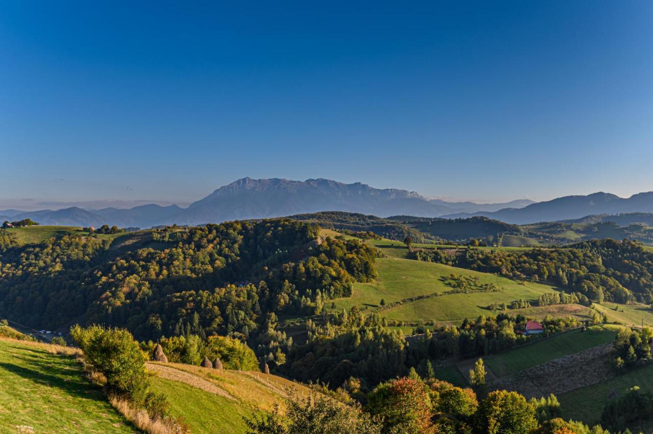 Hill Panoramic Poiana Mărului