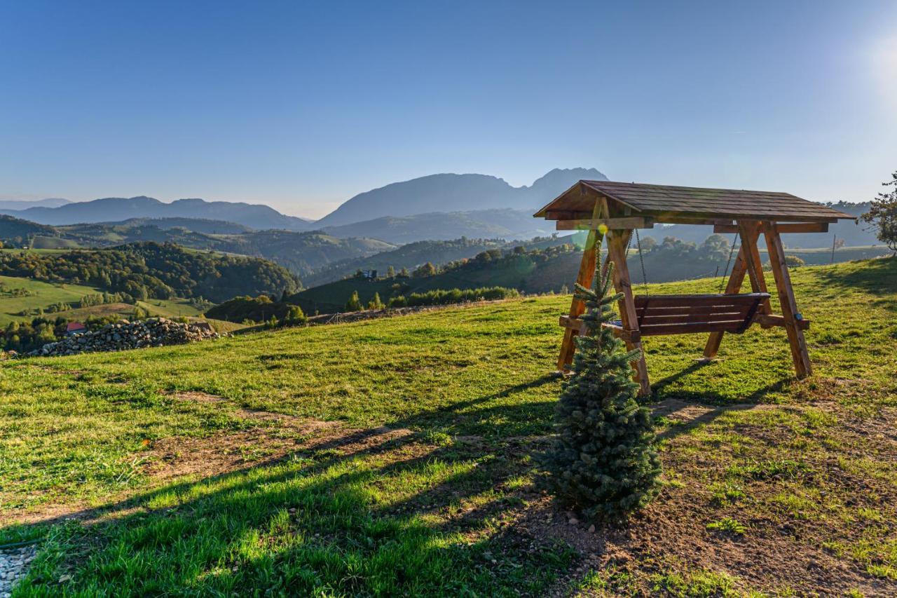 בית נופש Hill Panoramic Poiana Mărului