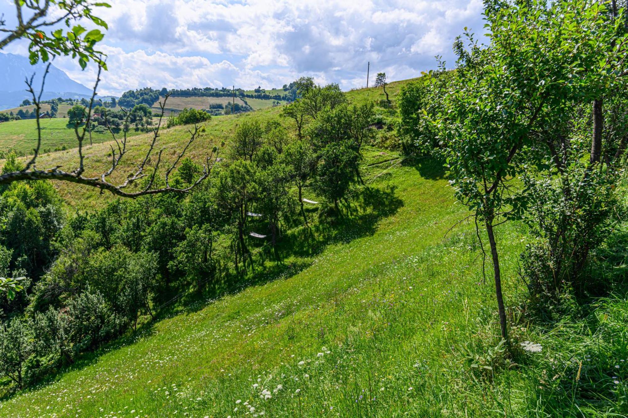 Hill Panoramic * Poiana Mărului