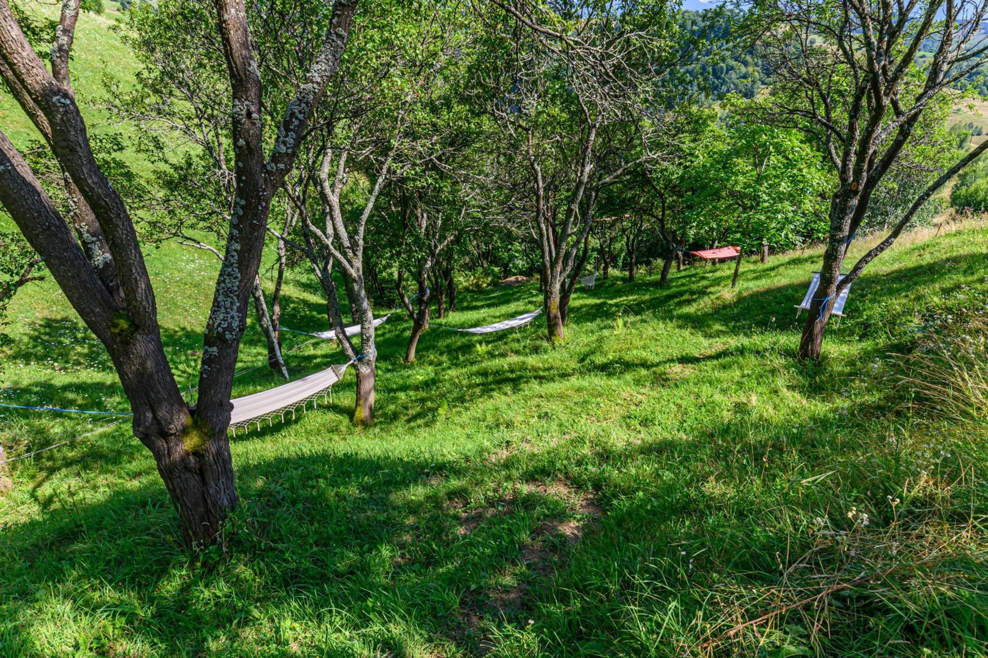 Hill Panoramic בית נופש *